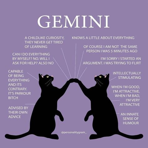 May Gemini, Gemini Sun, Gemini People, Going Through A Lot, All About Gemini, Gemini Zodiac Quotes, Gemini Personality, Gemini And Scorpio, Gemini Traits