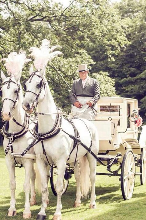 Wedding Transport Horse Drawn Wedding Carriage, Horse And Buggy Wedding, Horse And Cart Wedding, Wedding Horse Carriage, Wedding Horse And Carriage, Prom Transport Ideas, Horse Carriage Wedding, Wedding Horses, Horse And Carriage Wedding