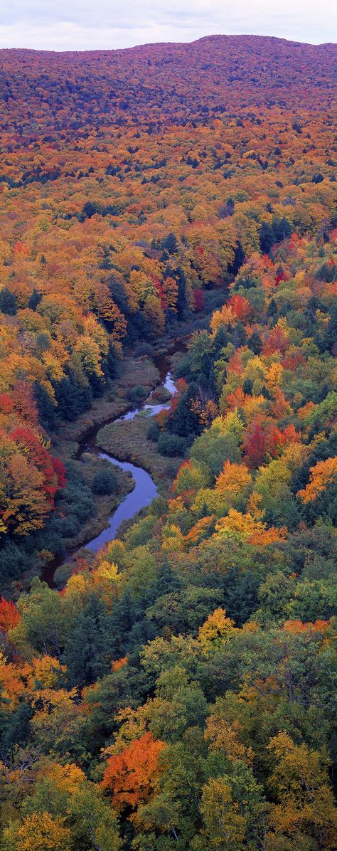 Vibrant fall foliage hugs the winding path of the Big Carp River in Michigan's Porcupine Mountains Wilderness State Park. Cellphone Background, Colorful Mountains, Fall Vacations, Outdoor Pictures, Fall Watercolor, Autumn Scenes, Autumn Scenery, Autumn Beauty, Autumn Photography