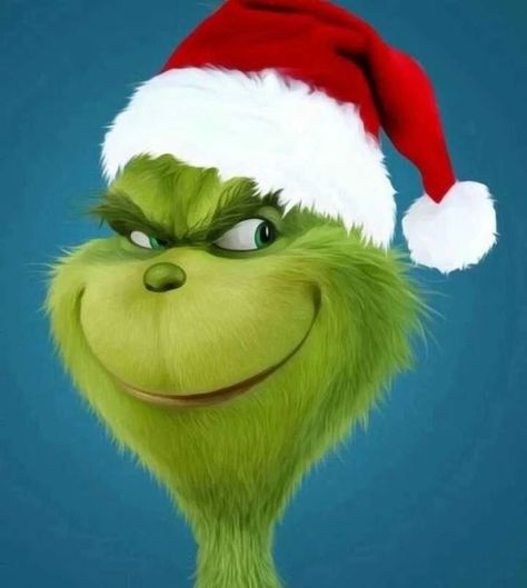 The Christmas Cottage🎄🎅 on Instagram: "Grinch😚🎅🎁❤" Immagini Grinch, Grinch Village, O Grinch, Grinch Baby, Grinch Images, Der Grinch, Baby Grinch, Whoville Christmas, Xmas Movies