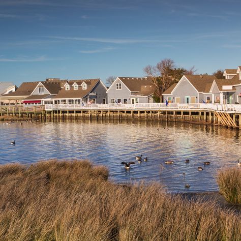 10 Best Things To Do In Duck - TravelAwaits Duck Outer Banks, Things To Do Outer Banks Nc, Duck Outer Banks North Carolina, Duck North Carolina, Pinehurst North Carolina, Obx North Carolina, Carolina Homes, Health Resort, Family Vacation Planning