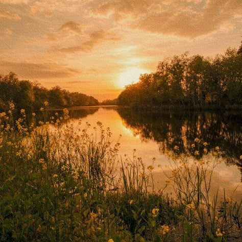 Orange Field Aesthetic, Golden Hour Landscape Photography, Orange Landscape Aesthetic, Nature Golden Hour, Burnt Orange And Green Aesthetic, Landscape Sunset Photography, Orange Country Aesthetic, Spring Aesthetic Pfp, Green Cowboy Aesthetic