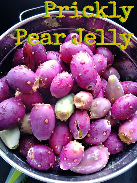 Cactus Apple Jelly, Pear Jelly Recipes, Prickly Pear Jelly, Prickly Pear Recipes, Pear Jelly, Cactus Recipe, Cacti Flowers, Cactus Pears, Diy Foods