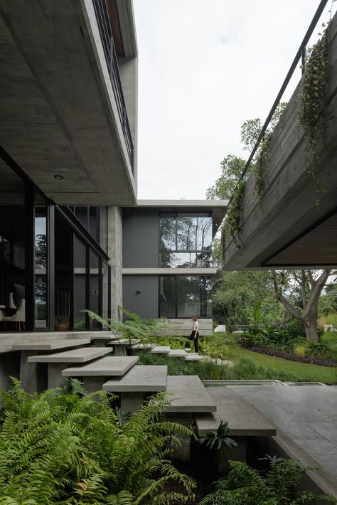 Canteliver House, Brutalism House, Entreparotas House, Modern Nature House, Modern House In The Woods, Eco Brutalism, Modern Forest House, Brutalist House, Concrete House Design