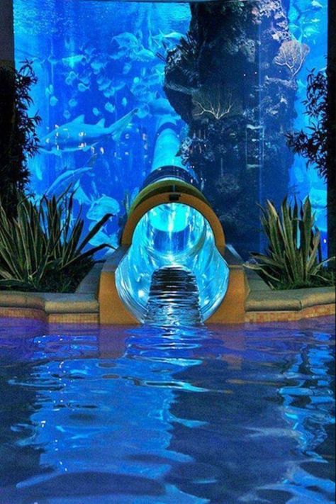 LAS VEGAS’ $30 MILLION AWARD-WINNING POOL.   Our pool is the Tank. Fun-filled, sun-filled, it features a 200,000 gallon shark tank aquarium, three-story complex, and 17 private cabanas. Climb 30 feet in the air. Close your eyes and rush down through the Tank on our world-class, one-of-a-kind waterslide. Experience the thrill of swimming right next to our sharks. Shark Aquarium, Golden Nugget Las Vegas, Exotic Vacation Destinations, Shark Pool, Vegas Pools, Thailand Travel Destinations, Luxury Swimming Pools, Tank Pool, Golden Nugget