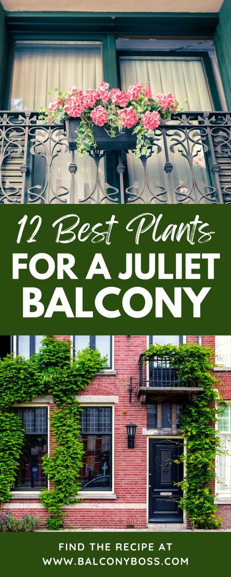 We've researched them all, and these are the 12 plants for a Juliet balcony! You need to be quite selective with how you decorate your Juliet balcony to make the best use of what room you have. If plants are your decoration of choice for a Juliet balcony, you’ll probably have more options than you might think. To get you inspired, here are 12 of the best plants for a Juliet balcony. Juliette Balcony Bedroom, Juliet Balcony Ideas, Juliette Balcony, Juliet Balcony, Terrace Garden Design, Balcony Flowers, Small Balcony Design, Apartment Plants, Indian Home Interior