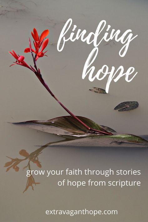 Hope Verses, Hope Scripture, Prayer Of Praise, Hope In The Lord, Messages Of Hope, Grow Your Faith, Prayers Of Encouragement, Hope In Jesus, Easter Messages