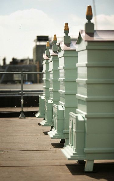 Bees And Honey, Sweet Woodruff, Green Facade, Ground Covering, Bee Skep, Bee Hives, Italian Alps, Fortnum And Mason, Save The Bees