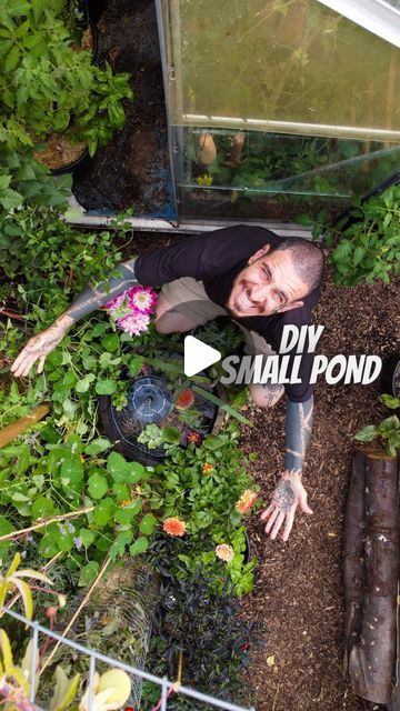 Alessandro Vitale on Instagram: "💧COMMENT POND💧and I’ll send you the link to get my new ebook to make your own “DIY OAK BARREL POND” which fits in almost any garden, balcony or terrace.

We built 2 ponds in our backyard and allotment and they attract a huge diversity of insects and wildlife which naturally predate on garden pests.

#diy #pond #garden" Diy Wildlife Pond, Allotment Pond, Balcony Pond, Barrel Pond, Pond Garden, Fall Gardening, Garden Frogs, Diy Pond, Natural Pond