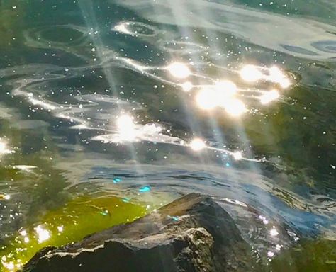 ͏ ͏͏ ͏͏ ͏͏ ͏͏ on X: "light sparkles on water. https://t.co/CqpxbnAbYE" / X Health Maintenance, European Summer, Nature Aesthetic, Marina Bay, Mother Earth, Pretty Pictures, Mother Nature, The Sun, Forest