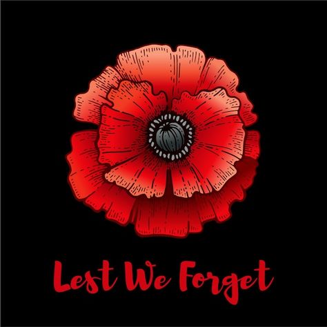 Vector remembrance day. poppy with lest ... | Premium Vector #Freepik #vector #poppy #poppy-flower #war #flower Remembrance Day Poppy Art, Remembrance Day Drawings, November Poster, Remembrance Day Pictures, Lest We Forget Anzac, Poppy Day, Remembrance Day Art, Poppy Images, Remembrance Day Poppy