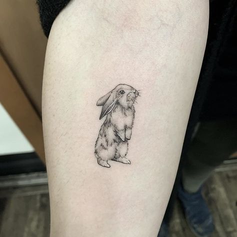 2 Bunny Tattoo, Lop Rabbit Tattoo, Dainty Animal Tattoos, Dainty Bunny Tattoo, Holland Lop Tattoo, Lop Bunny Tattoo, Fine Line Bunny Tattoo, Parsley Tattoo, Bunny Tattoo Cute