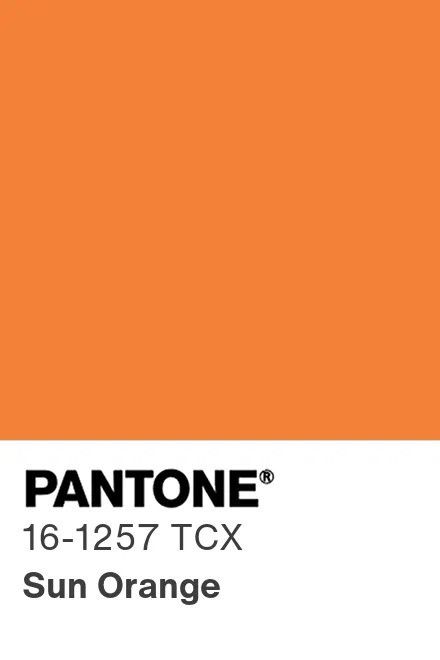 Pantone Orange, Pantone 2024, True Autumn, Color Psychology, Orange Is The New Black, Light Spring, Wedding Vision, Shades Of Orange, Color Wheel