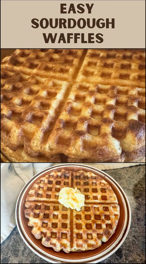 Best Sourdough Waffles - Easy Sourdough Discard Recipe - Wagon Wheel Homestead Sourdough Waffles Discard, Sourdough Discard Waffles, Sourdough Waffle Recipe, Sourdough Discard Recipe, Sourdough Waffles, Sourdough Breads, Simple Sourdough, Discard Recipe, Sourdough Starter Discard Recipe