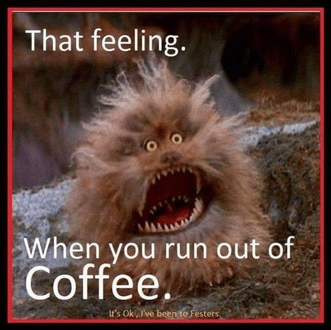 Coffee Jokes, I Relate, Coffee Meme, Coffee Quotes Funny, Funny Coffee Quotes, Coffee Talk, Coffee Obsession, Good Morning Funny, Need Coffee