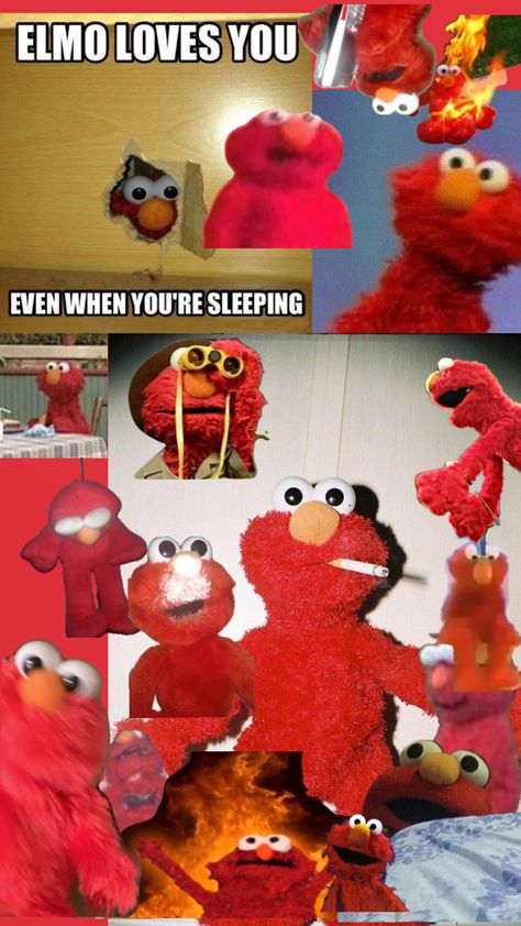 Cursed Elmo, Elmo Pictures, Elmo Videos, Elmo Memes, Elmo Wallpaper, Elmo And Friends, Funny Mean Quotes, Elmo World, Funny Pix