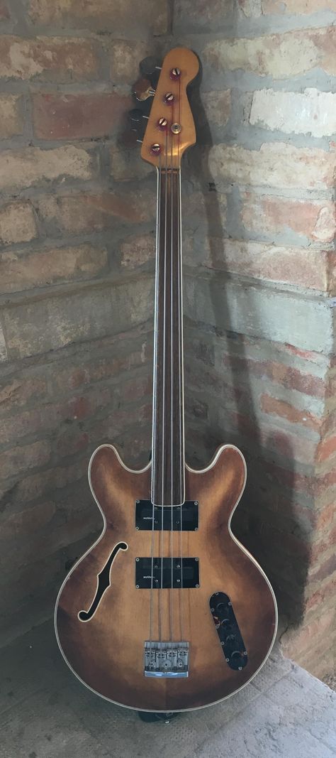 Fretless Bass Guitar, Bass Notes, Acoustic Bass Guitar, Custom Bass, Guitar Finishing, Guitar Photography, Archtop Guitar, Learn To Play Guitar, Bass Amps