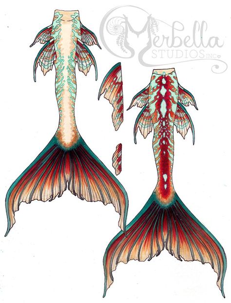 Merbella Studios Inc.                                                                                                                                                                                 More Mermaid Tail Concept Art, Koi Mermaid Tail, Siren Tail Design, Merbella Mermaid Tails, Mermaid Tail Drawing Reference, Tail Designs Drawing, Mermaid Tail Ideas, Mermaid Tail Designs, Tails Drawing