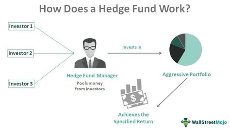 Fund Manager, Hedge Fund Manager, Hedge Fund, Finance Investing, Accounting And Finance, Business Finance, Hedges, Banking, Business Tips