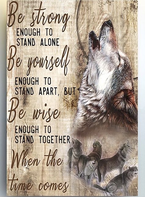 Native American Wolf Quotes, Wolf Pack Quotes, Wolves Quotes, Lone Wolf Quotes, Native American Wolf, Wolf Poster, Wolf Quotes, Wolf Spirit Animal, Wolf Shirt