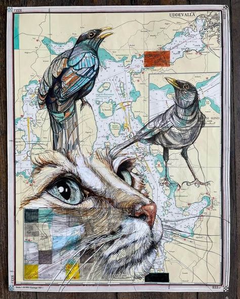 Ink Animal Drawing. On a Map. Gcse Art Sketchbook Animals, Mixed Animals Drawing, Mixed Media Animals, Pc Drawing, Mind Map Art, Map Ideas, Inktober 2023, Dream Classroom, Wildlife Painting