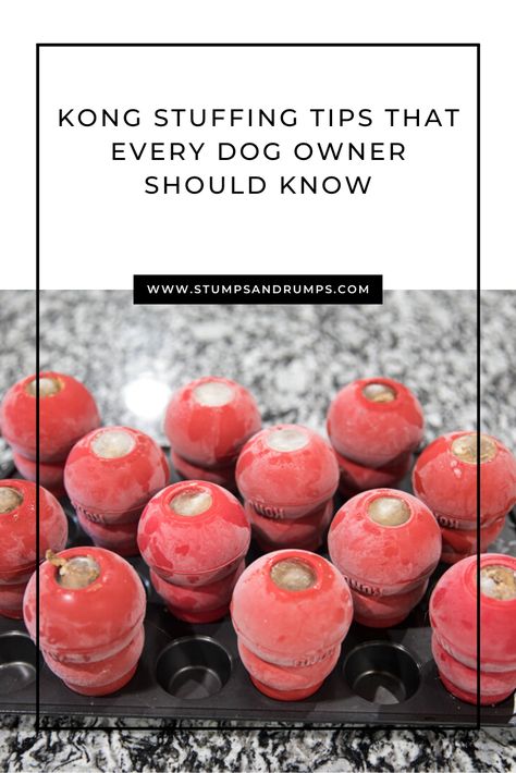 Kong Dog Recipes, Kong For Puppies, Diy Kong Toy, Stuff Kong Dog Recipes, Best Kong Fillers, Kong Ideas For Dogs, King Fillers For Puppies, Kong Stuffers For Dogs, Kong Recipes For Puppies Frozen