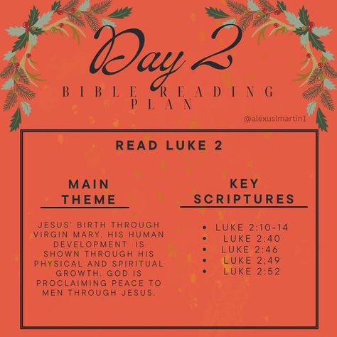 Read Luke In December, December Bible Reading Plan, Luke 2 10, Bible Plan, Bible Reading, Bible Reading Plan, Birth Of Jesus, Jump In, Just A Reminder