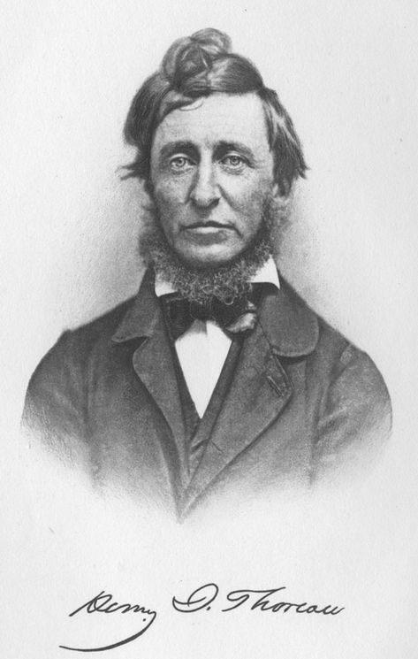 The Libraries of Famous Men: Henry David Thoreau Nature Writing, Morning Reading, Book Dedication, Writing Room, Writing Essays, Essay About Life, Art Of Manliness, Civil Disobedience, Room Book