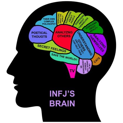 INFJ's brain Myers Briggs Infj, Personalidad Infj, Infj Psychology, Infj Type, Intj And Infj, Infj Mbti, Infj Personality Type, Myers Briggs Personality Types, Infj T