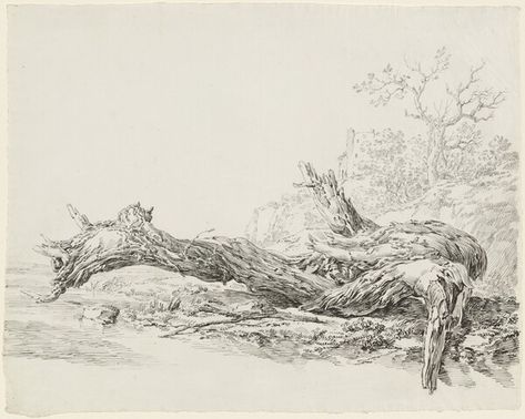 An Ancient Tree Fallen Beside a Stream Tree Drawings, Faux Rock, Tumblr Drawings, Fallen Tree, Old Trees, Ancient Tree, Society 6, Classic Image, National Gallery Of Art