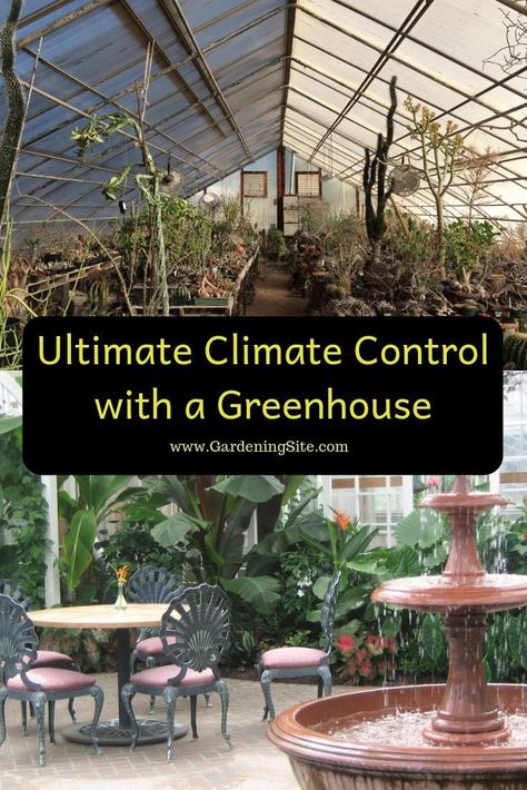 greenhouses, greenhouse benefits, greenhouse climate control, greenhouse uses, uses for a greenhouse Best Grow Lights, Natural Repellent, Build A Greenhouse, Greenhouse Interiors, Diy Greenhouse, Greenhouse Gardening, Seasonal Garden, Diy Landscaping, Climate Control