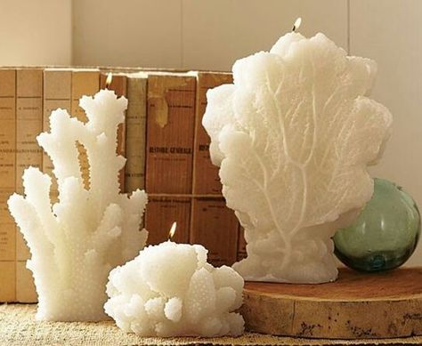 Coral candles Coral Candle, Coral Candles, Coral Centerpieces, Home Massage, Shaped Candles, Candle Obsession, Creative Candles, Decor Candles, Candle Carving