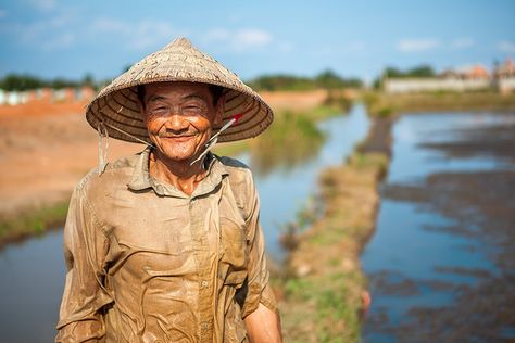 The Rice Farmer by Adam Robert Young, via Flickr Frame Reference, Rice Farmers, Farmer Painting, River God, Modern Farming, Vietnamese Rice, Asian Rice, Robert Young, Rice Paddy