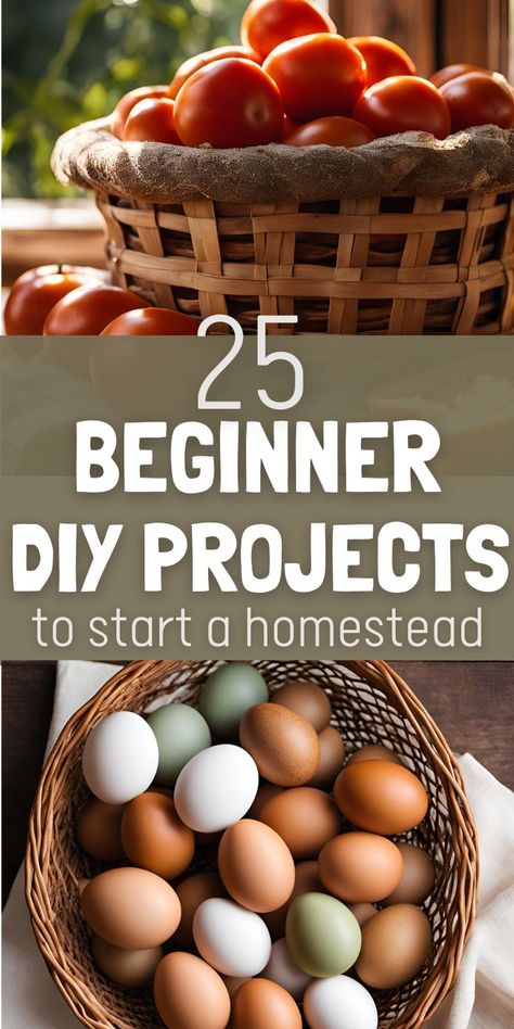 Basket of ripe tomatoes in sunlight above "25 Beginner DIY Projects to Start a Homestead" text and assorted eggs in a wicker basket below. Homesteading Projects, Homesteading Ideas, Building Raised Garden Beds, Homesteading Diy, Homesteading Skills, Bank Check, Small Greenhouse, Rainwater Harvesting, Homemade Cleaning Products