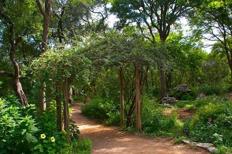 Zilker Botanical Garden, Baby Shower Venues, Botanical Garden Wedding, Wedding Halls, Botanical Gardens Wedding, Garden Wedding Venue, Wedding Hall, Grad Pics, Texas Travel