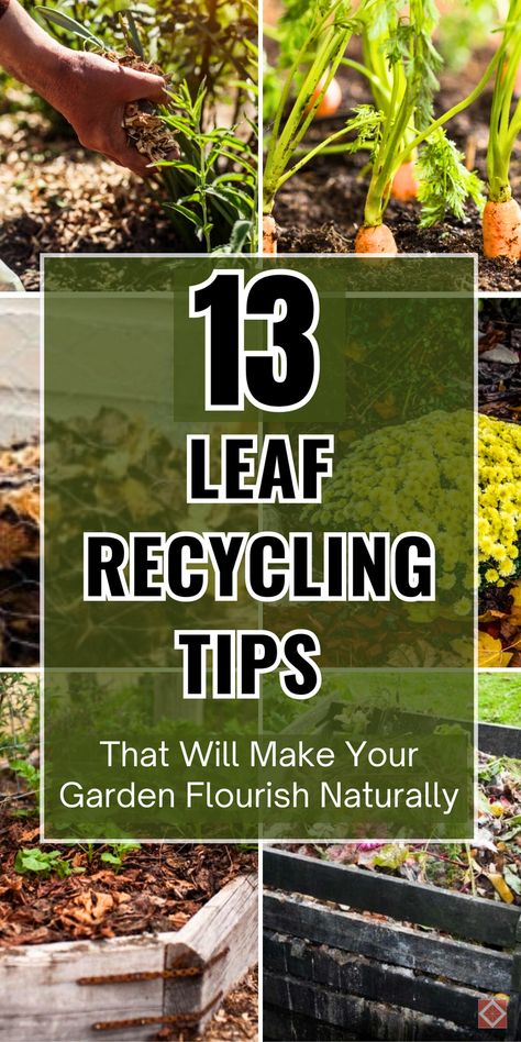 Give your garden a boost with these 13 simple leaf recycling ideas! From composting leaves to mulching, these eco-friendly gardening techniques will help you create healthy garden soil and promote strong plant growth. Using leaves as natural fertilizers is a key part of organic gardening and will make your garden more sustainable. Save this pin to explore practical ways to recycle leaves and improve your garden naturally! Composting Leaves, Healthy Garden Soil, Lasagna Gardening, Creative Landscaping, Acid Loving Plants, Diy Leaves, Eco Friendly Garden, Sustainable Gardening, Natural Fertilizer