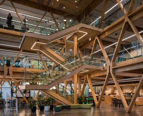 Te Whare Nui o Tuteata, Scion Innovation Hub — XLam Heavy Timber Architecture, Timber Connections, Glulam Beams, Wooden Skyscraper, Cross Laminated Timber, Mass Timber, Innovation Hub, Wood Truss, Timber Architecture