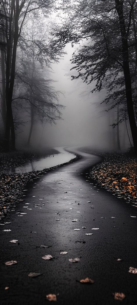 Foggy Road, Pink Stethoscope, Iphone Wallpaper Hd Original, Android Wallpaper Dark, Backgrounds Hd, Iphone Wallpaper Landscape, Pretty Wallpapers Tumblr, Surreal Artwork, Photo Background Images Hd