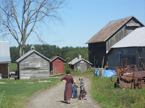 Amish kids, St. Lawrence County, NY Amish Culture, Amish Farm, Plain People, Lawrence County, Amish Community, Farm Kids, North Country, Pennsylvania Dutch, Amish Country