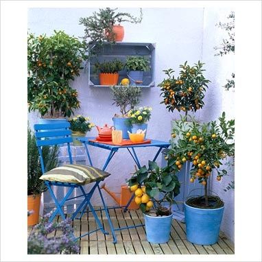 Balkon Decor, Small Balcony Garden, Balcony Plants, Porch And Balcony, Small Balcony Ideas, Balcony Design, Balcony Ideas, Courtyard Garden, Small Patio