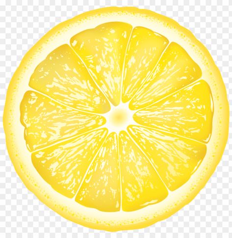 round lemon slice Lemon Png, Pinterest Png, Lemon Clipart, Ribbon Cake, Cake Vector, Fruits Photos, Large Pizza, Landscape Sketch, Cartoons Png