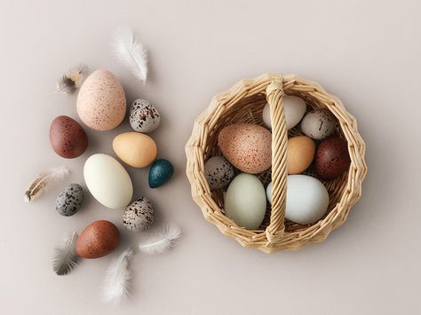 Eggs In A Basket, Wooden Food, Bird Eggs, Egg Basket, Wooden Eggs, Egg Designs, Wooden Bird, Rattan Basket, Wooden Animals