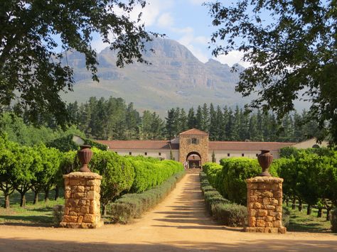 Tucked away in one of the most romantic corners of the world, is a beautiful town called Stellenbosch. Here are the top wineries, place to stay, and dine... South African Wine, Visit South Africa, Wine Tourism, Africa Do Sul, Santa Lucia, Cape Town South Africa, Sonoma County, Napa Valley, Wine Country