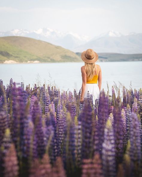 Travel Mama | Blogger on Instagram: “Life is precious and today, across the globe, we were reminded of that. ⁣ ⁣ So here’s a gentle reminder to stop living for the future and…” Lake Tekapo New Zealand, Tekapo New Zealand, Lupine Flowers, Adventure Life, Life Is Precious, Aesthetic Picture, New Zealand Travel, Epic Journey, On The Road Again