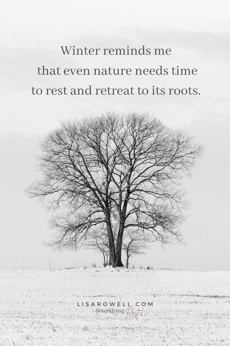 Winter reminds me that even nature needs time to rest and retreat to its roots. And while we can’t see what God is doing to the trees, we can trust that Spring will come. Winter Season Quotes, Cold Weather Quotes, Rest Quotes, God At Work, Poetry Lovers, Season Quotes, Winter Wellness, Weather Quotes, Time To Rest