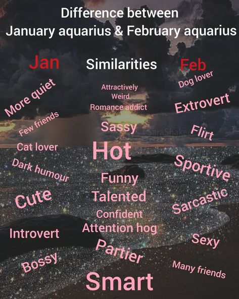 I'm a January Aquarius but it my mom waited 3 more minutes I would of been a February Aquarius and also I live dogs more the cats I'm allergic to cats January Aquarius Facts Women, January Vs February Aquarius, Aquarius Hobbies, January Aquarius Vs February Aquarius Meme, Aquarius X Aquarius, Aquarius Information, Aquarius As A Person, January Aquarius Vs February Aquarius, Aquarius Spirit Animal