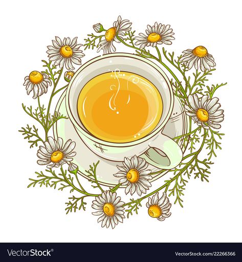 Tea Tattoos, Tea Vector, Tea Tattoo, Medical Drawings, Tea Labels, Tea Illustration, Tea Ideas, Lavender Tea, Chamomile Tea