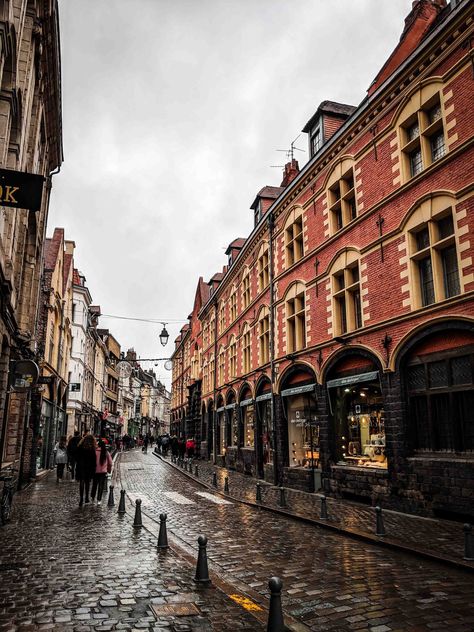 A Day in Lille, Capital of French Flanders - Pardon Your French French Streets, French Cities, Europe Street, French Aesthetic, France Aesthetic, French Street, Travel Postcard, World Cities, Best Beer