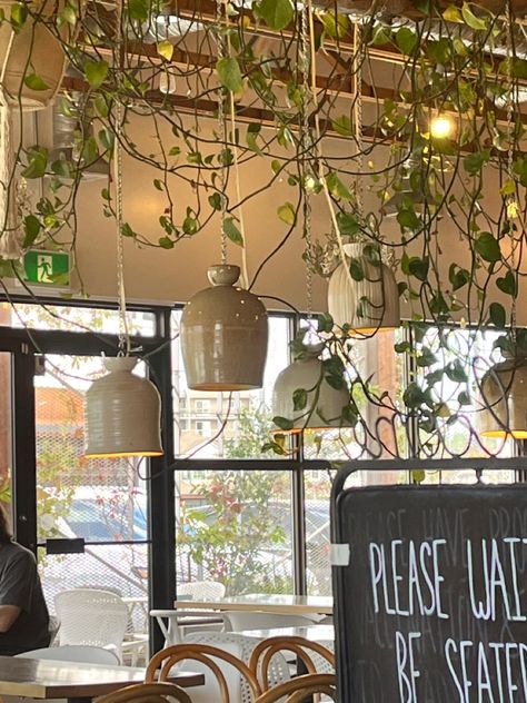 Cafe Asethic, Rustic Cafe Ideas, Cafe Owner Aesthetic, Study Cafe Aesthetic, Cafe Vibes Aesthetic, Cafe Study Aesthetic, Cottagecore Cafe, Korean Cafe Aesthetic, Shelves With Plants