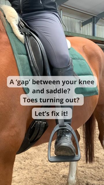 How To Fit A Saddle To A Horse, Saddle Seat Riding, Saddle Breaking A Horse, Trick Riding Saddle, Show Jumping Saddle, Equestrian Problems, Horse Riding Tips, Dressage Saddle, Dressage Horses